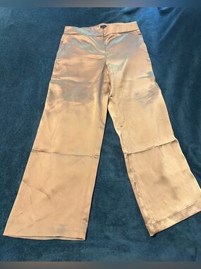 Talbots Silky Wide-Leg Champagne Pants